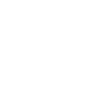 投票规则和时间